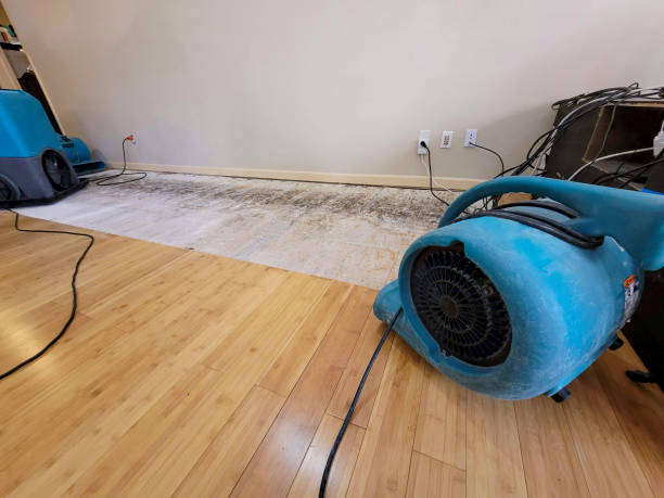 Professional Ceiling Water Damage Repair technician working in Lincoln Park, PA